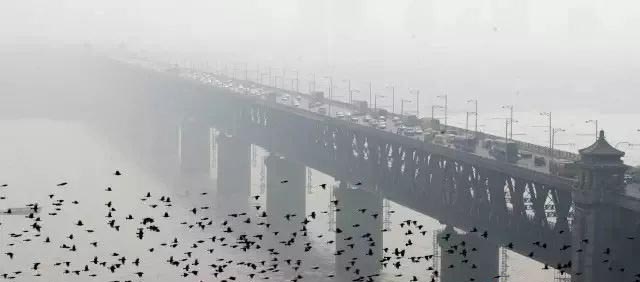 武汉长江大桥建设历史，武汉长江大桥到底有多长
