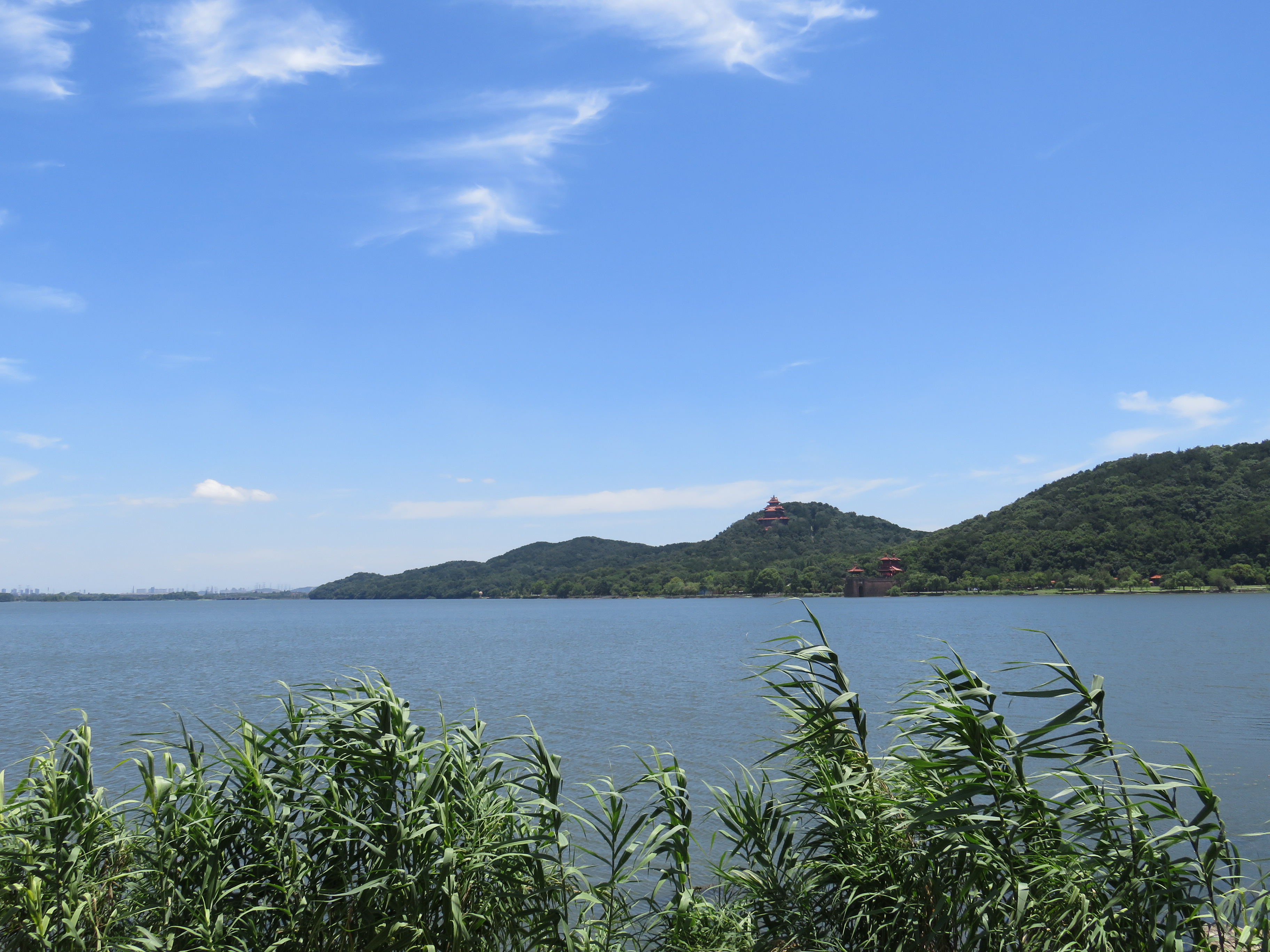 漫步百公里绿道游武汉东湖