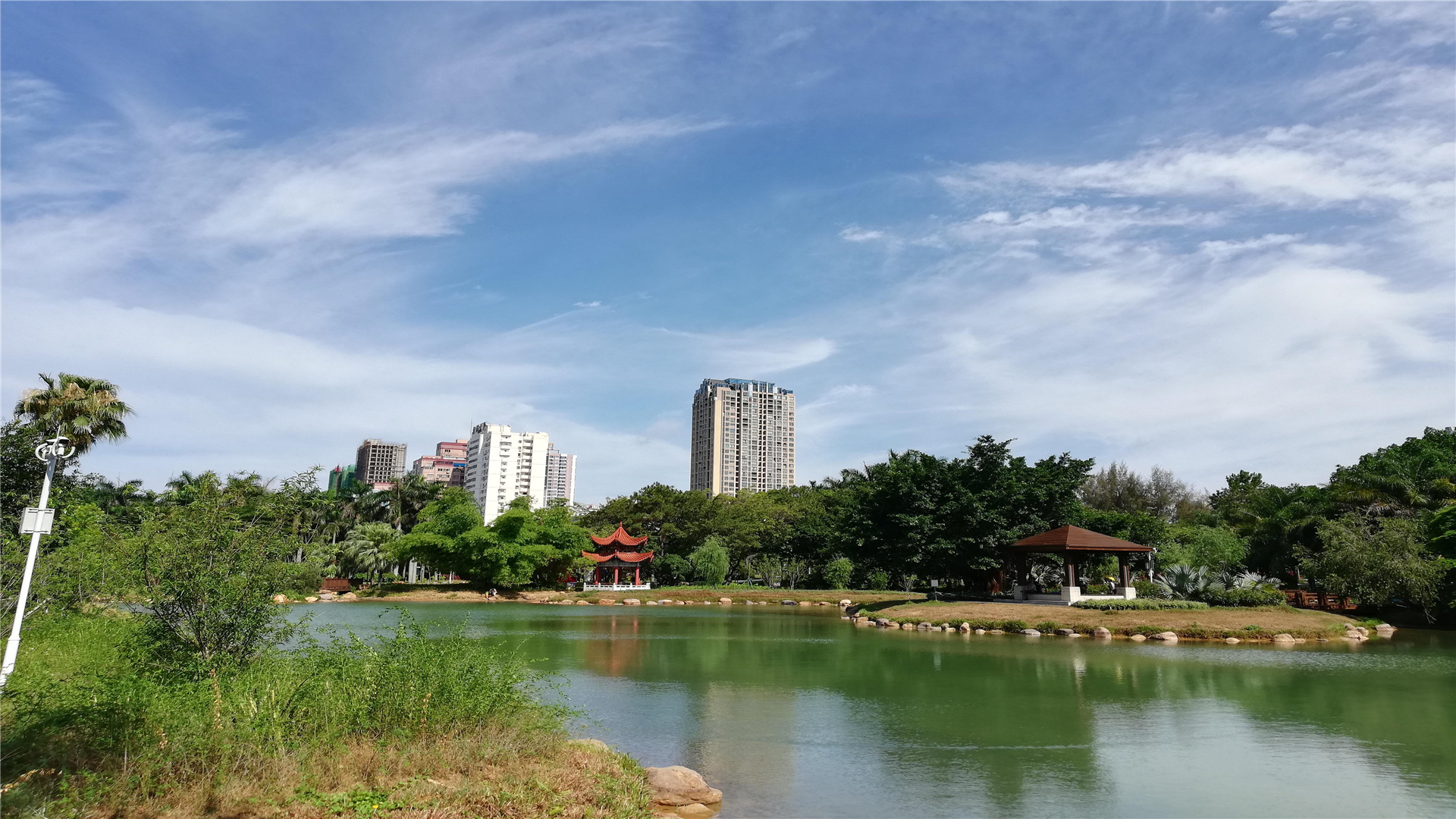 武汉“首座5G”公园，占地约20万平，即将在年底迎来首次亮相