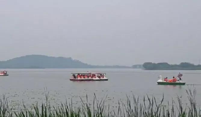 武汉最大免费湿地公园：风景迷人野生动物路上跑，湖边可烧烤骑行
