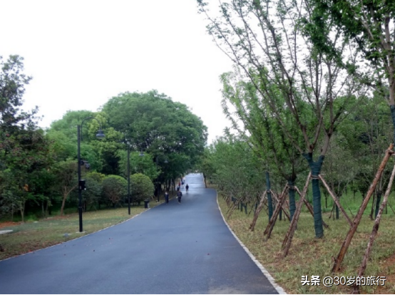 你真的认识武汉东湖7条绿道吗？上帝视角，3分钟带你游完绿道