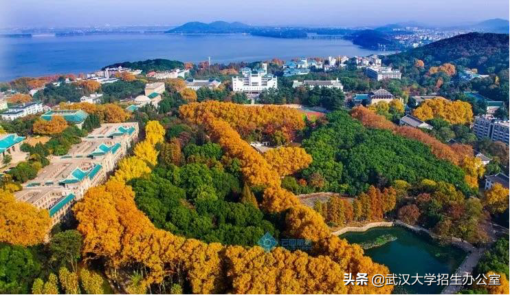 最新大学学科排名公布了！中国大陆90所高校上榜，武汉大学第5！