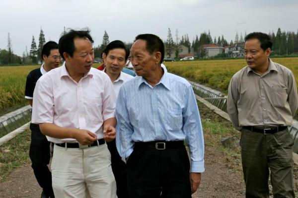 袁隆平曾在上海松江种超级稻，走遍浦南浦北基地，田间小路疾步如飞