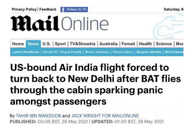 机舱内发现活蝙蝠，印航一飞往美国客机紧急返航新德里