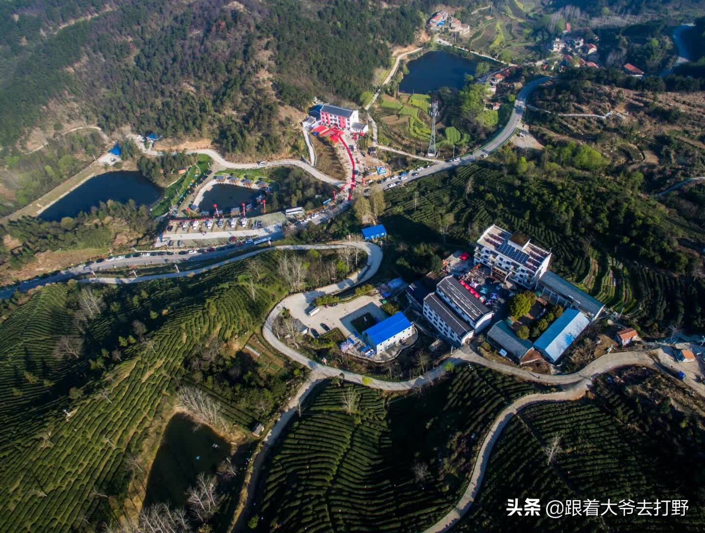 武汉唯一红色旅游公路小众游「问津书院-道观河」