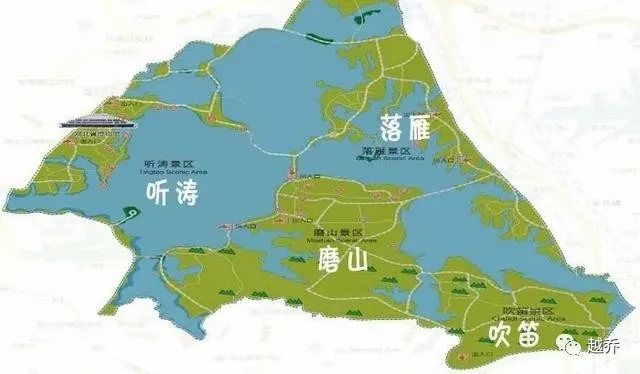 注意！武汉东湖附近有野猪出没