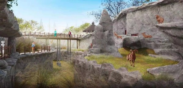 武汉动物园改造后将“留给动物们更大的活动空间”